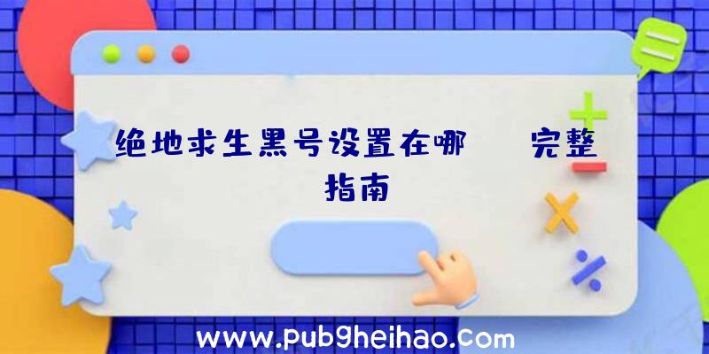 绝地求生黑号设置在哪
